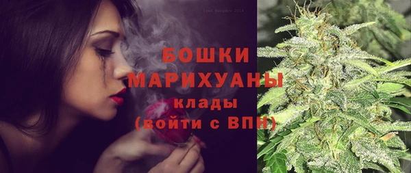 сатива Володарск