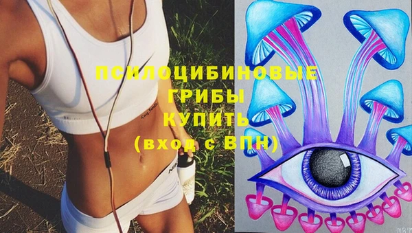 сатива Володарск