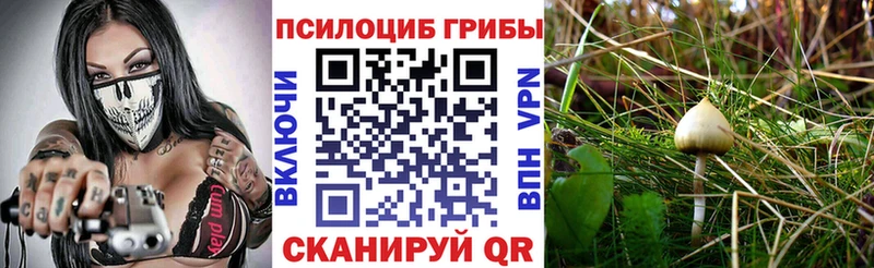 гидра онион Мариинск Псилоцибиновые грибы Psilocybine cubensis
