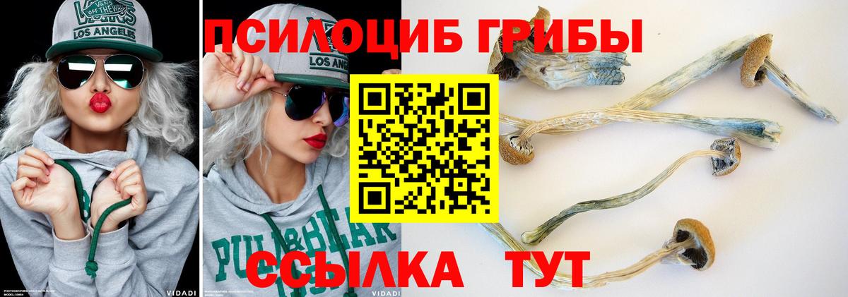 Галлюциногенные грибы мухоморы  Галлюциногенные грибы мухоморы  Мариинск  Вход с VPN 